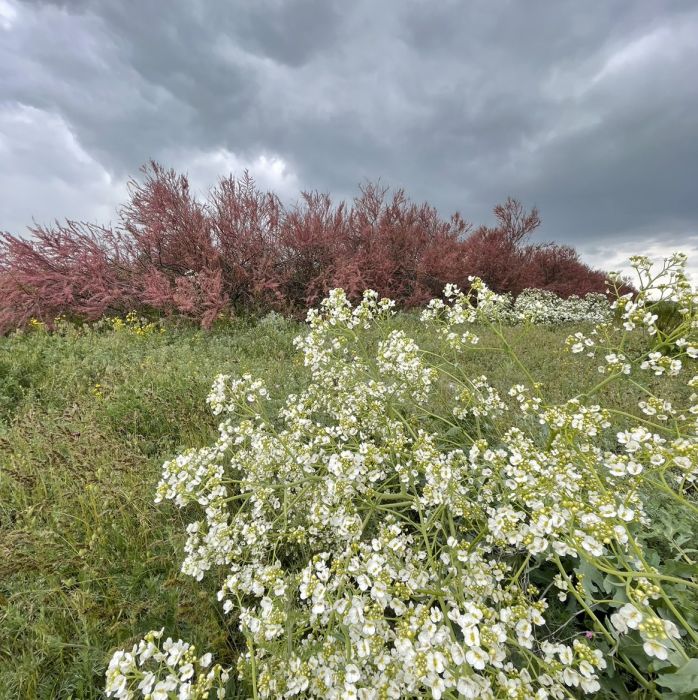 Spot photo 474