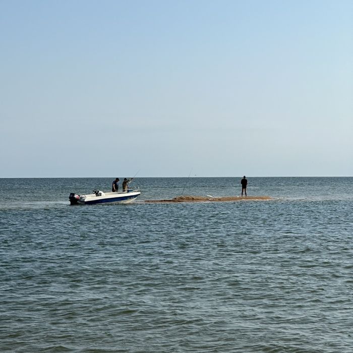 Spot photo 305
