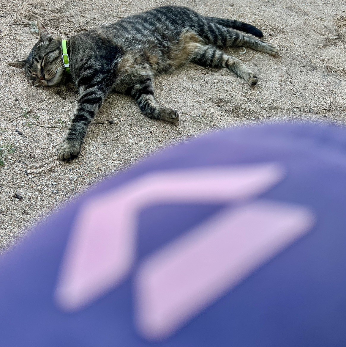 Spot photo 152